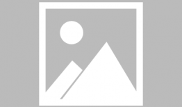 小马驹漫画,成长路上的欢乐与挑战