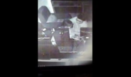 91实时情侣直播,甜蜜互动，共享浪漫时光