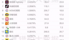 短视频排名,热门内容背后的秘密